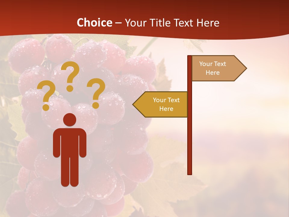Management Di Cu Ion Character PowerPoint Template