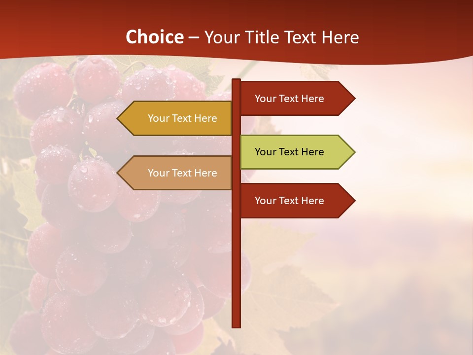 Management Di Cu Ion Character PowerPoint Template