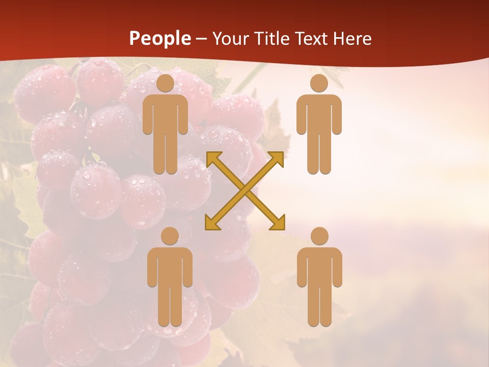 Management Di Cu Ion Character PowerPoint Template