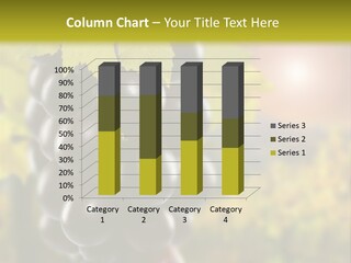 Company Trategy Itting PowerPoint Template