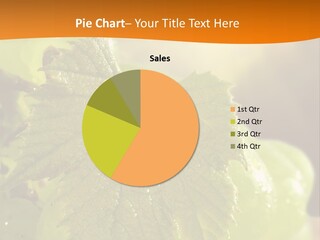 Team Trategy Room PowerPoint Template