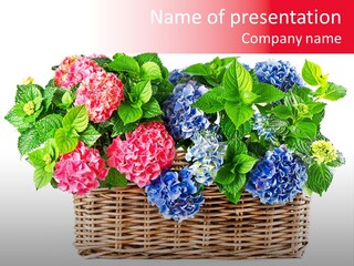 Tree Botanical Gift PowerPoint Template