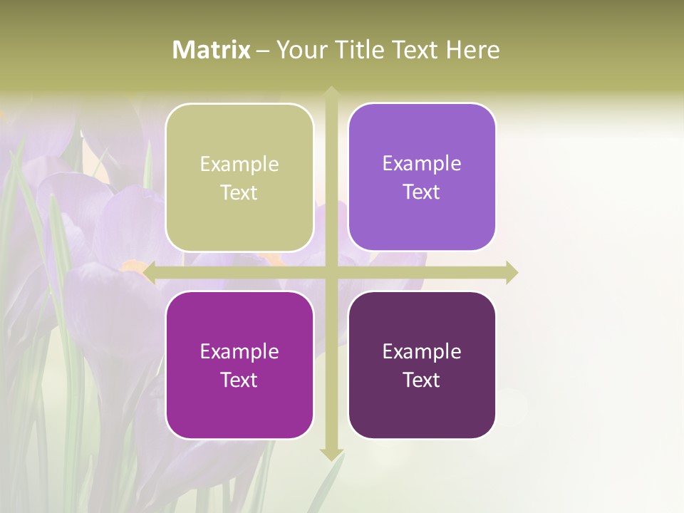 Closeup Ground Flowers PowerPoint Template