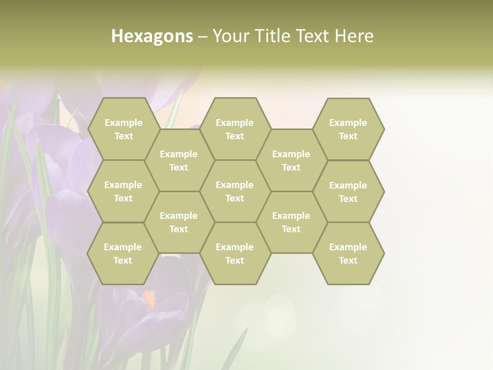 Closeup Ground Flowers PowerPoint Template