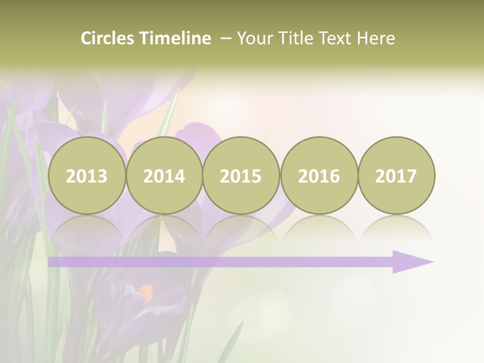 Closeup Ground Flowers PowerPoint Template