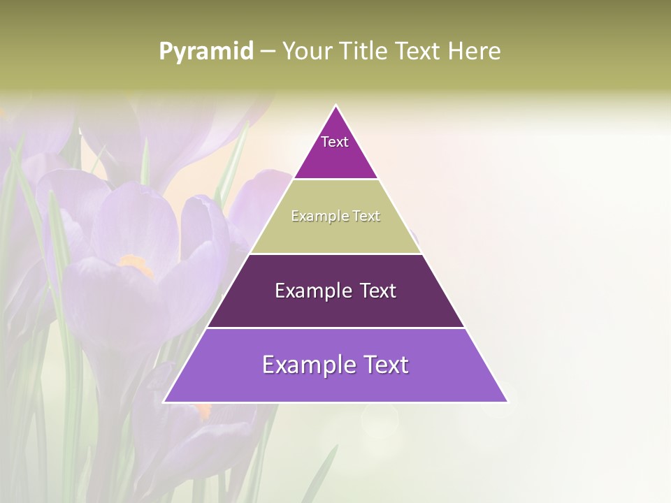 Closeup Ground Flowers PowerPoint Template