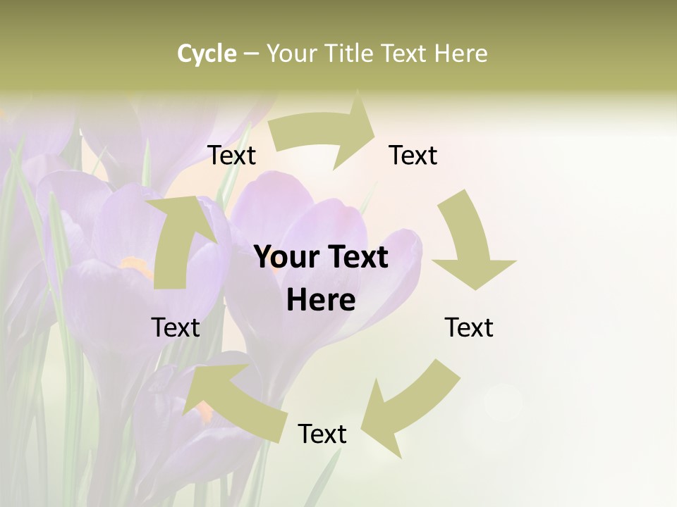Closeup Ground Flowers PowerPoint Template