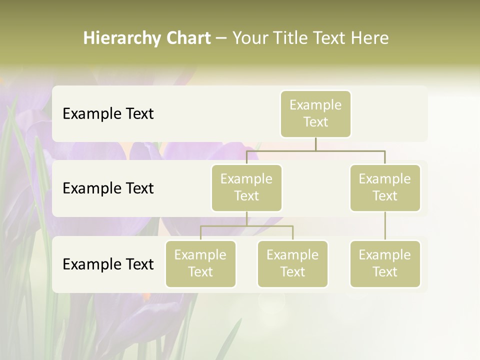 Closeup Ground Flowers PowerPoint Template