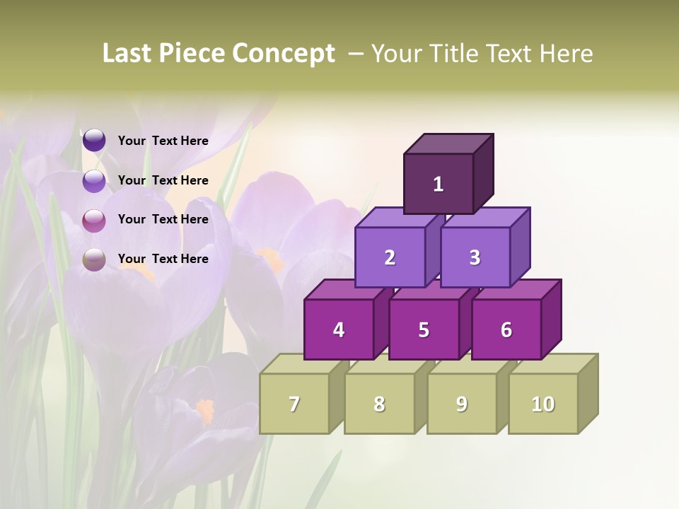 Closeup Ground Flowers PowerPoint Template