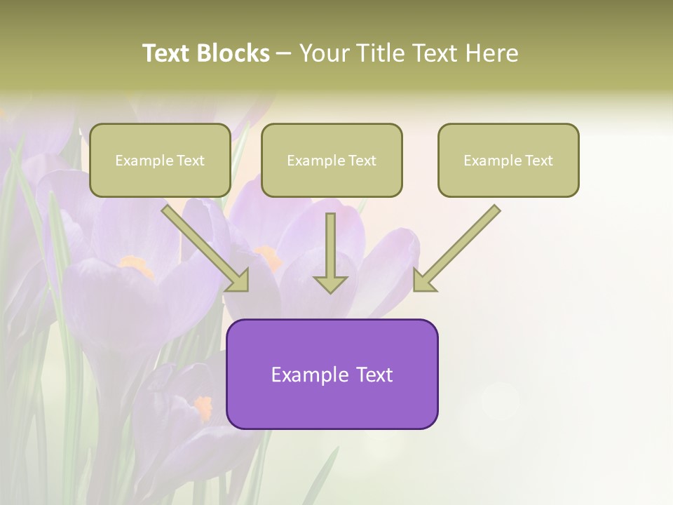 Closeup Ground Flowers PowerPoint Template