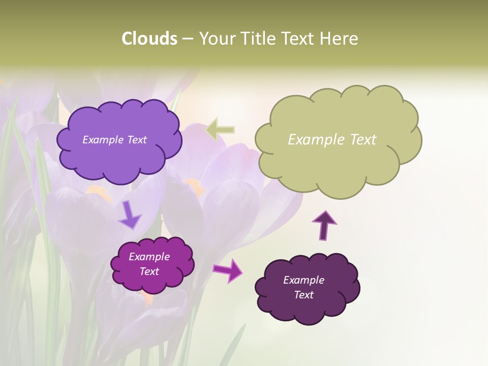 Closeup Ground Flowers PowerPoint Template