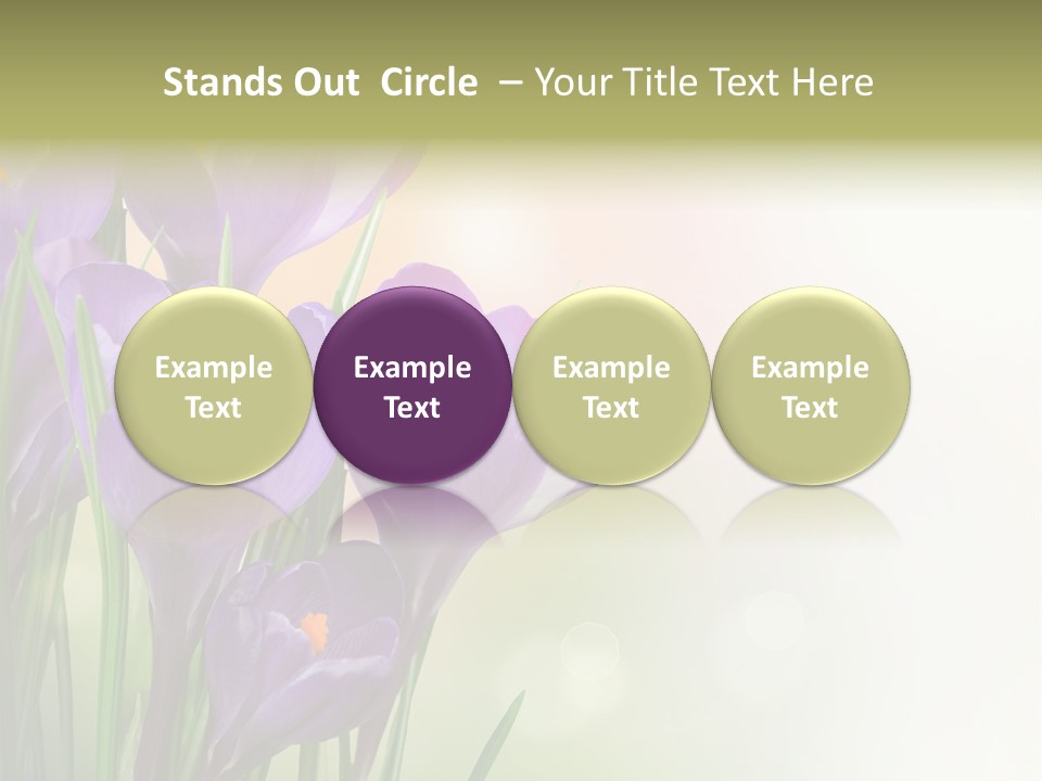 Closeup Ground Flowers PowerPoint Template