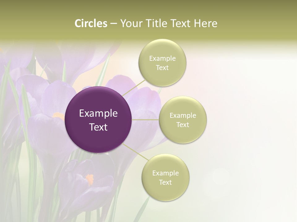 Closeup Ground Flowers PowerPoint Template