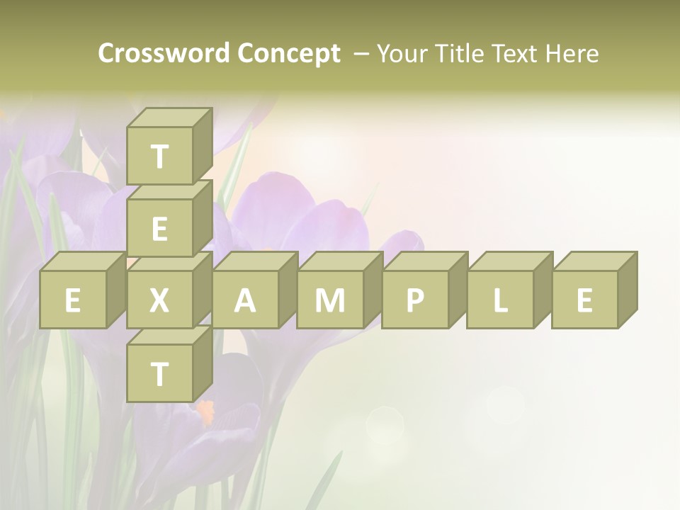 Closeup Ground Flowers PowerPoint Template