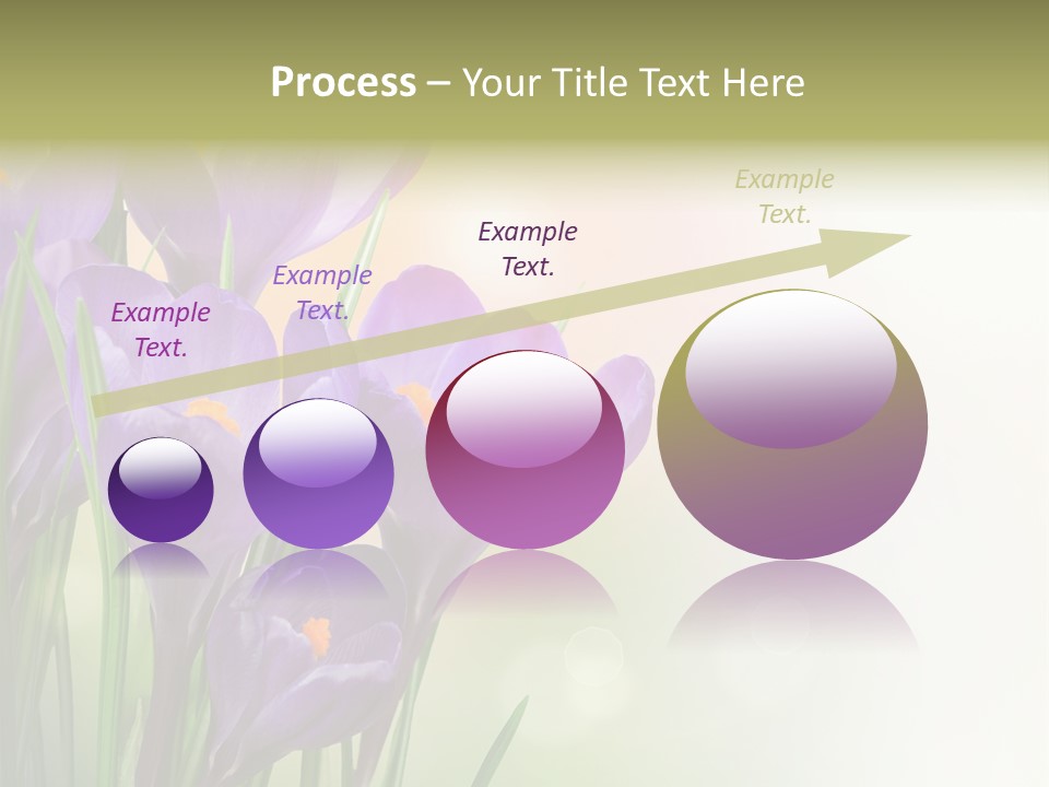 Closeup Ground Flowers PowerPoint Template
