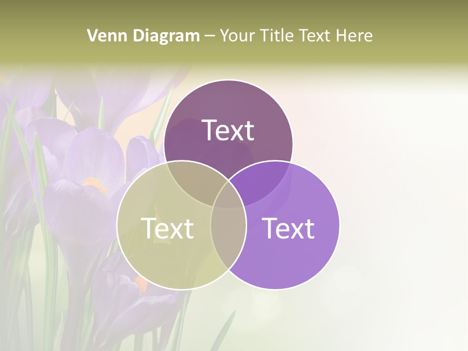 Closeup Ground Flowers PowerPoint Template