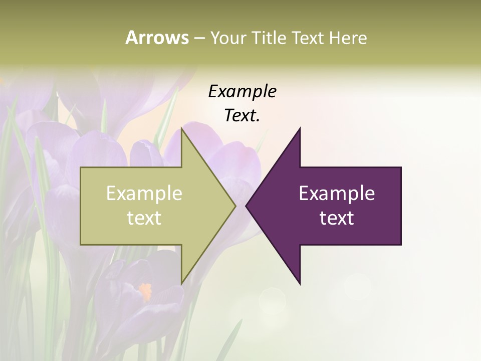 Closeup Ground Flowers PowerPoint Template