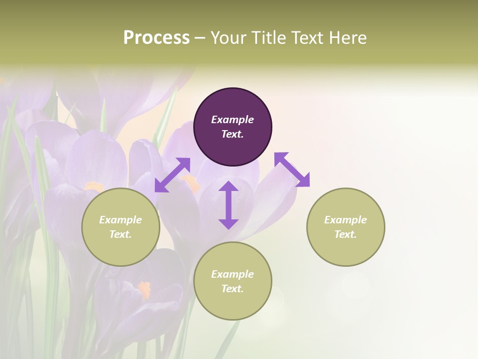 Closeup Ground Flowers PowerPoint Template