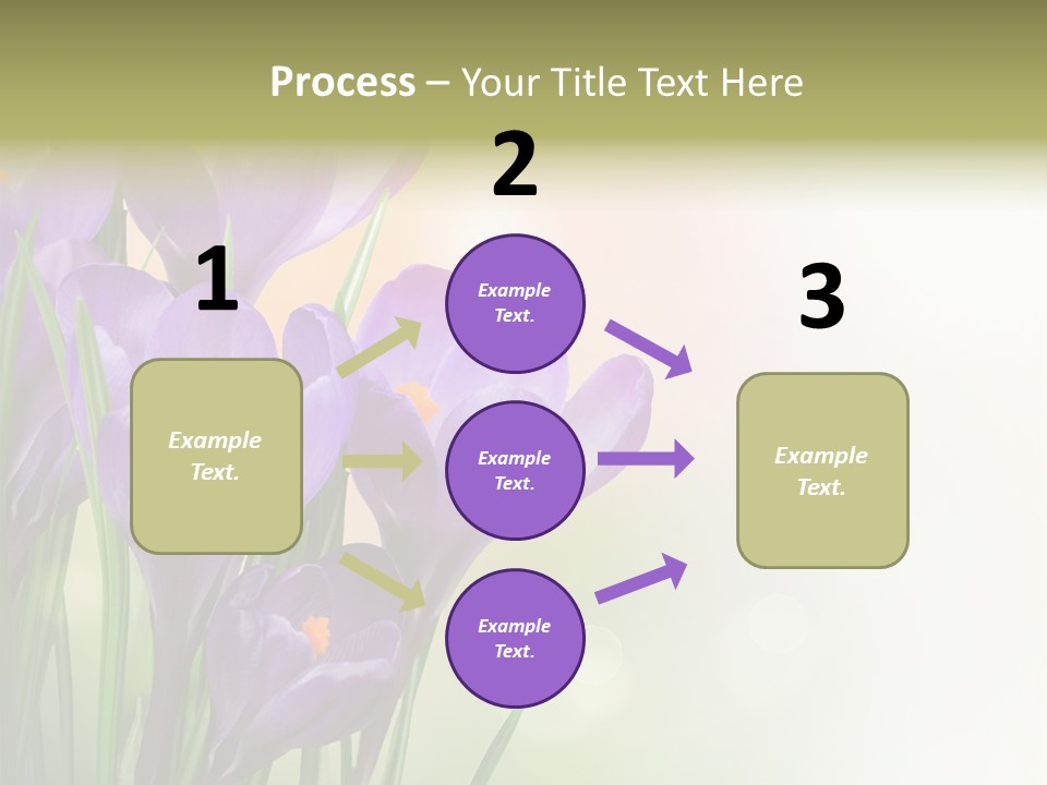 Closeup Ground Flowers PowerPoint Template
