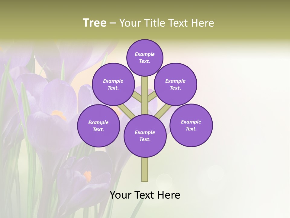 Closeup Ground Flowers PowerPoint Template