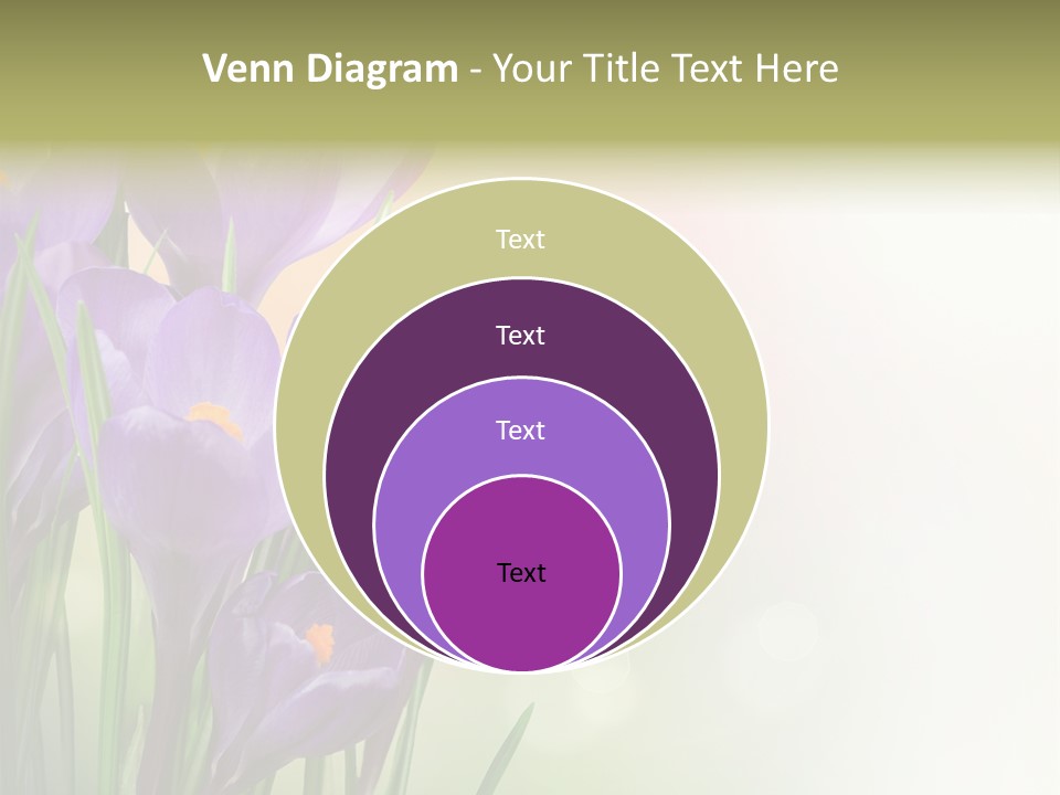 Closeup Ground Flowers PowerPoint Template