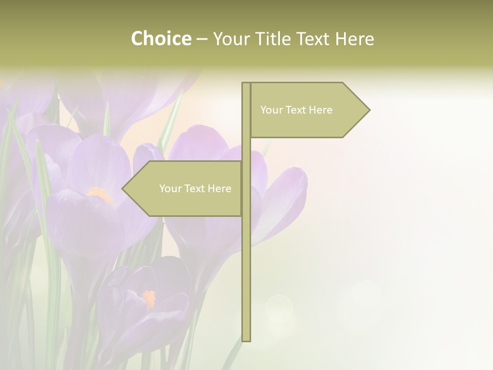Closeup Ground Flowers PowerPoint Template