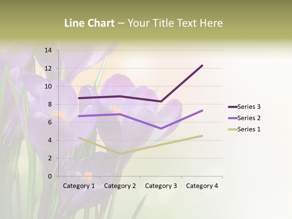 Closeup Ground Flowers PowerPoint Template