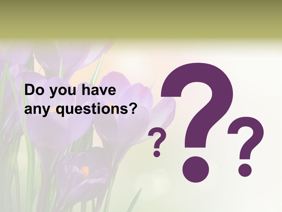 Closeup Ground Flowers PowerPoint Template