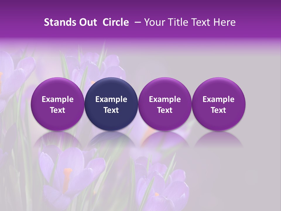 Growth Easter Bloom PowerPoint Template