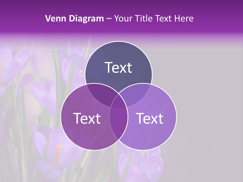 Growth Easter Bloom PowerPoint Template