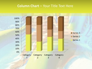 Swim Wear Aquapark Vacations PowerPoint Template