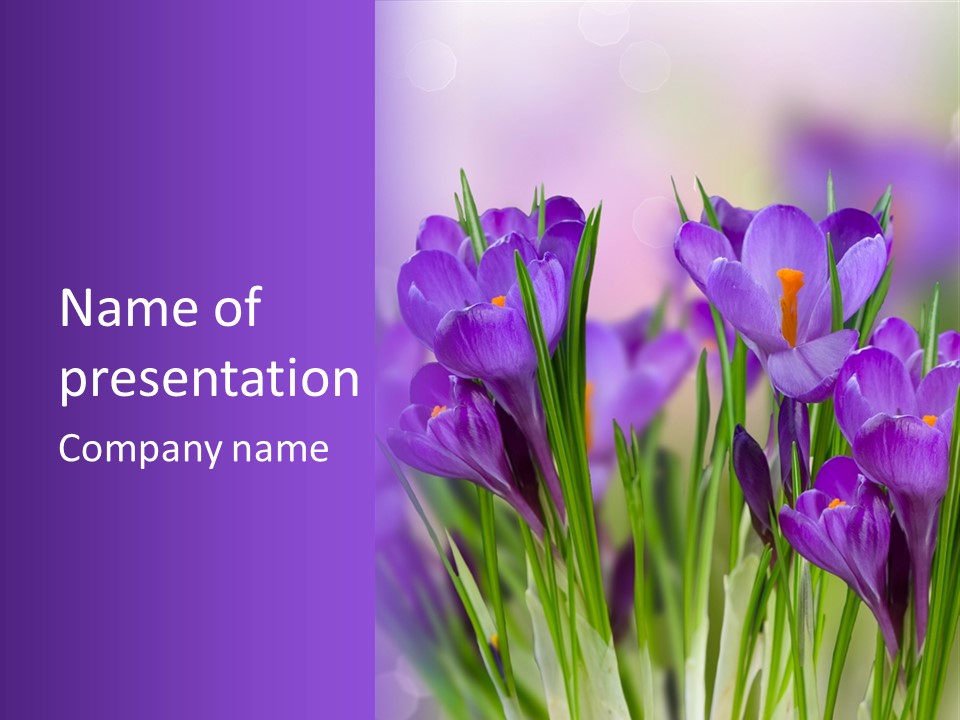 Nature White Bloom PowerPoint Template