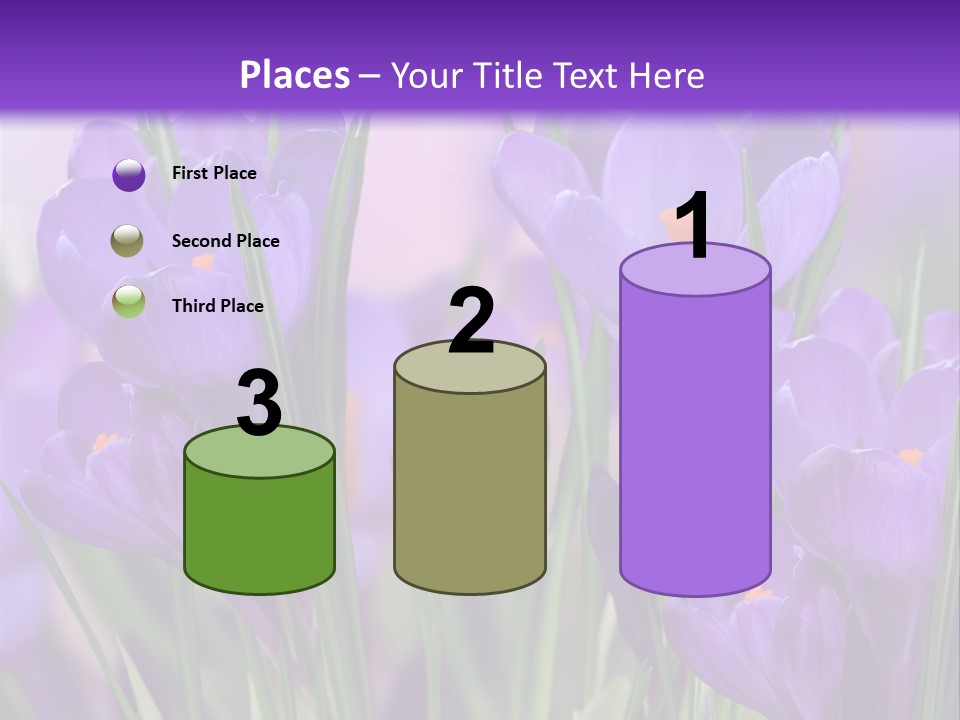 Nature White Bloom PowerPoint Template