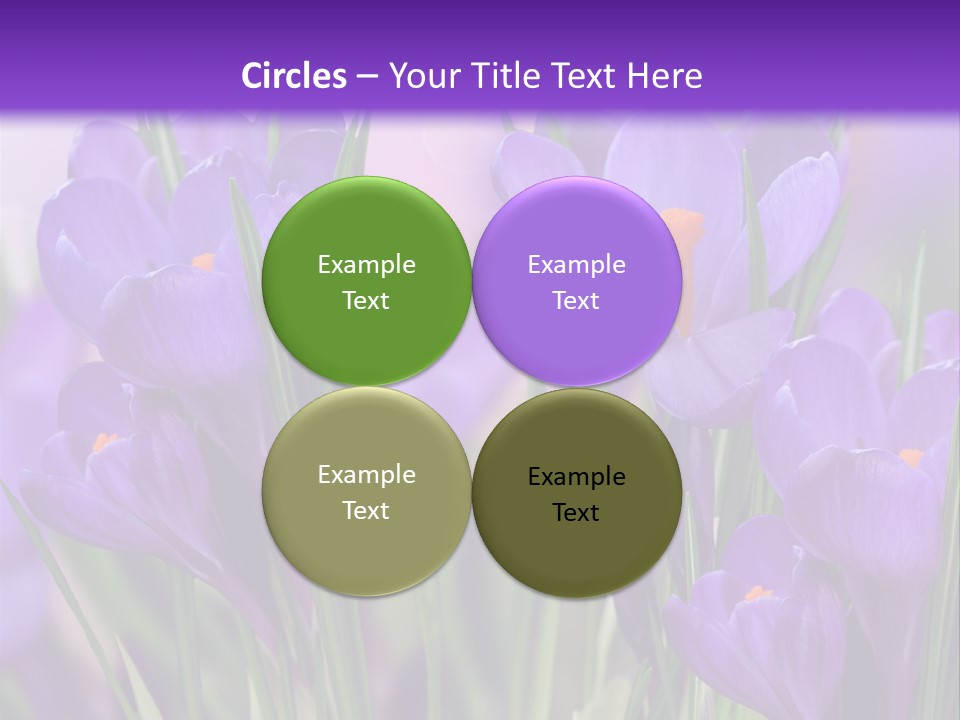 Nature White Bloom PowerPoint Template