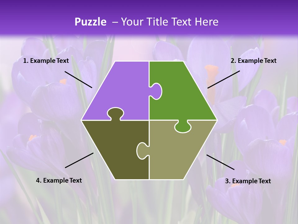 Nature White Bloom PowerPoint Template