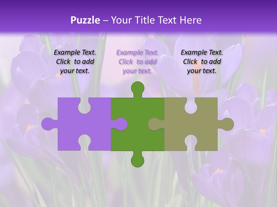 Nature White Bloom PowerPoint Template