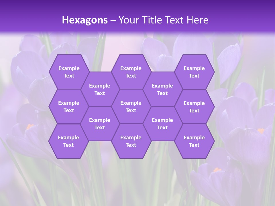 Nature White Bloom PowerPoint Template