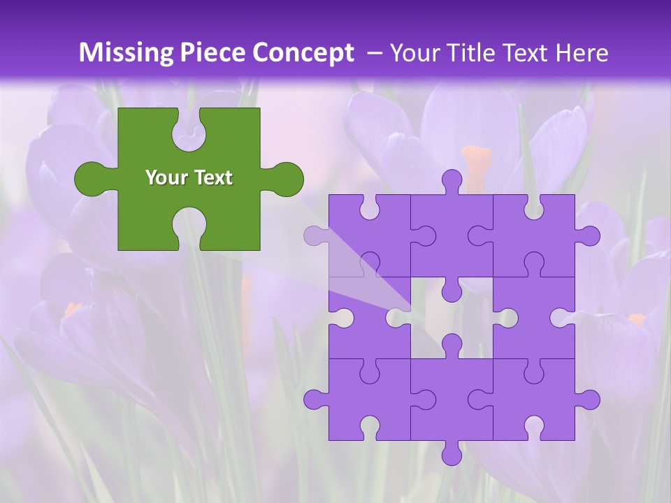 Nature White Bloom PowerPoint Template