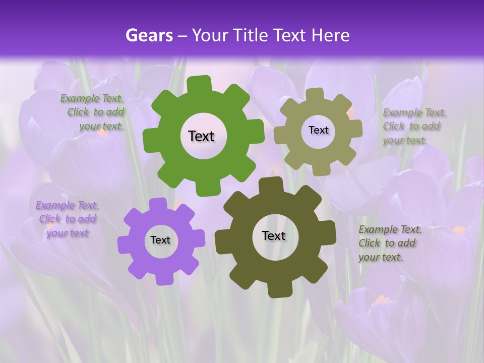 Nature White Bloom PowerPoint Template