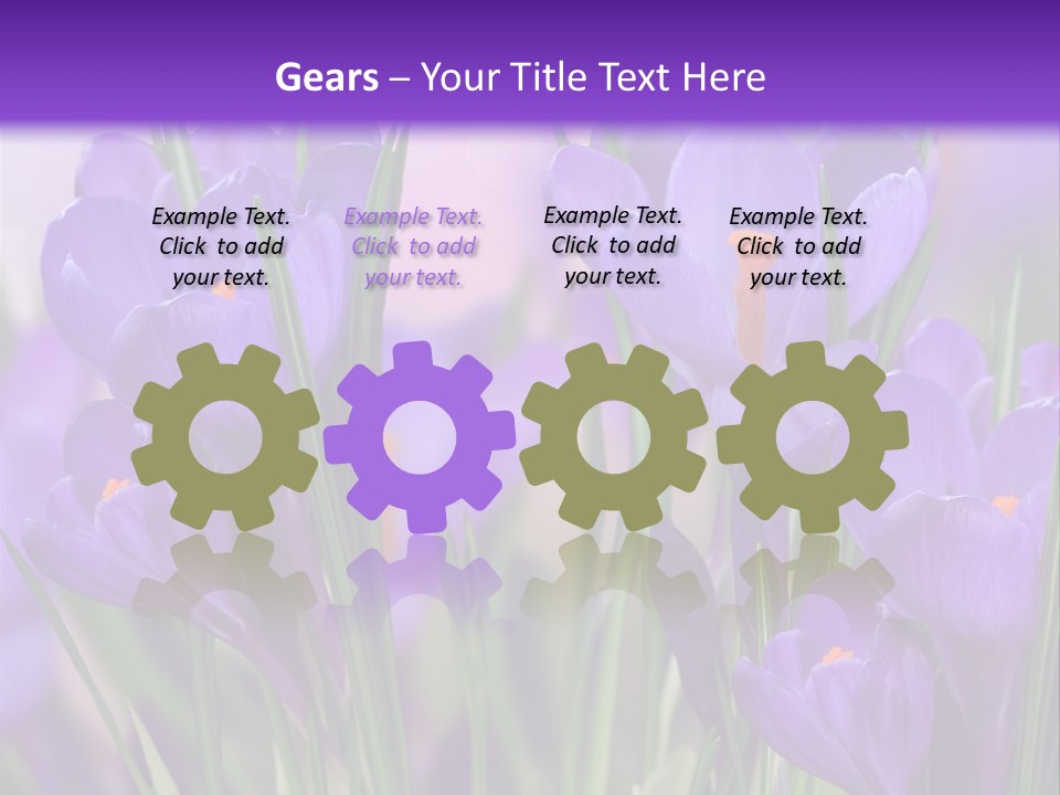 Nature White Bloom PowerPoint Template