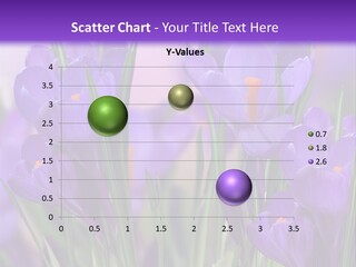 Nature White Bloom PowerPoint Template