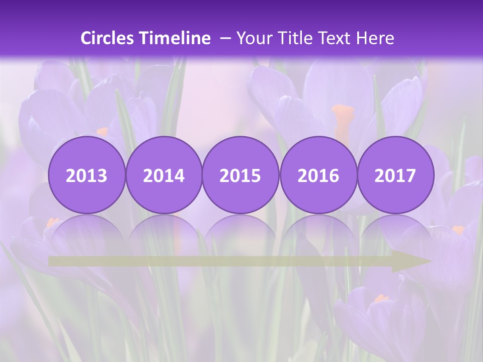 Nature White Bloom PowerPoint Template