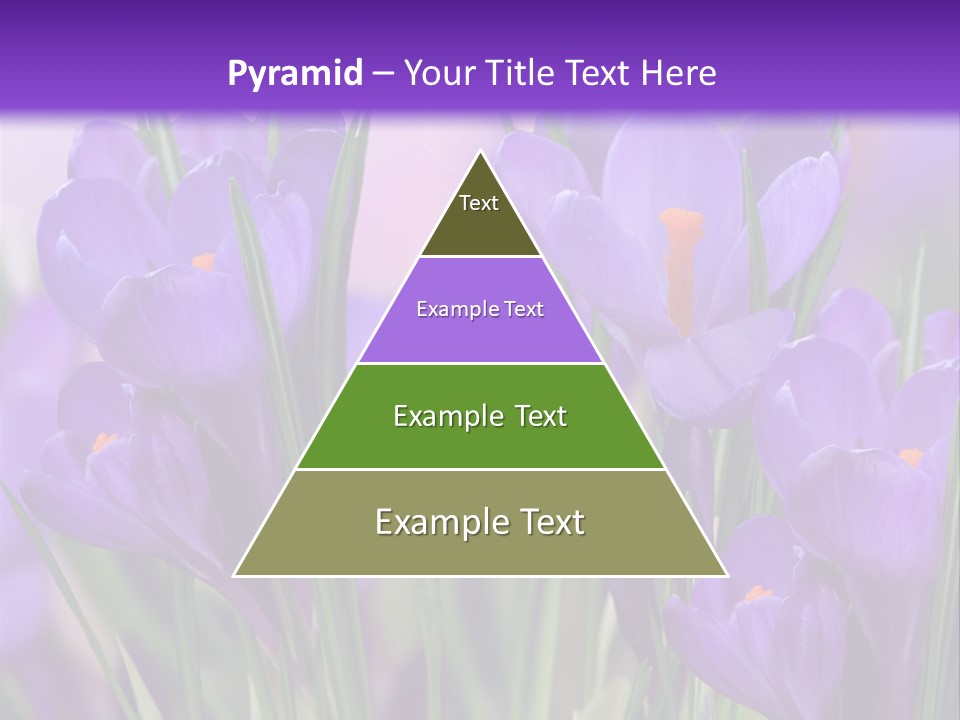 Nature White Bloom PowerPoint Template