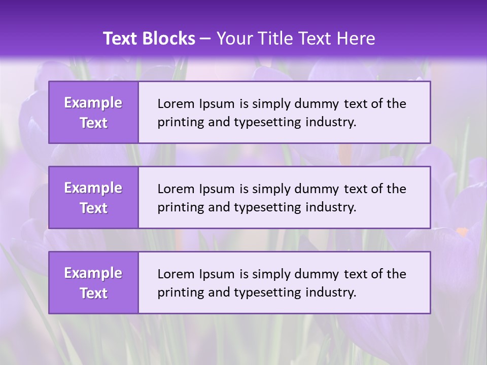 Nature White Bloom PowerPoint Template