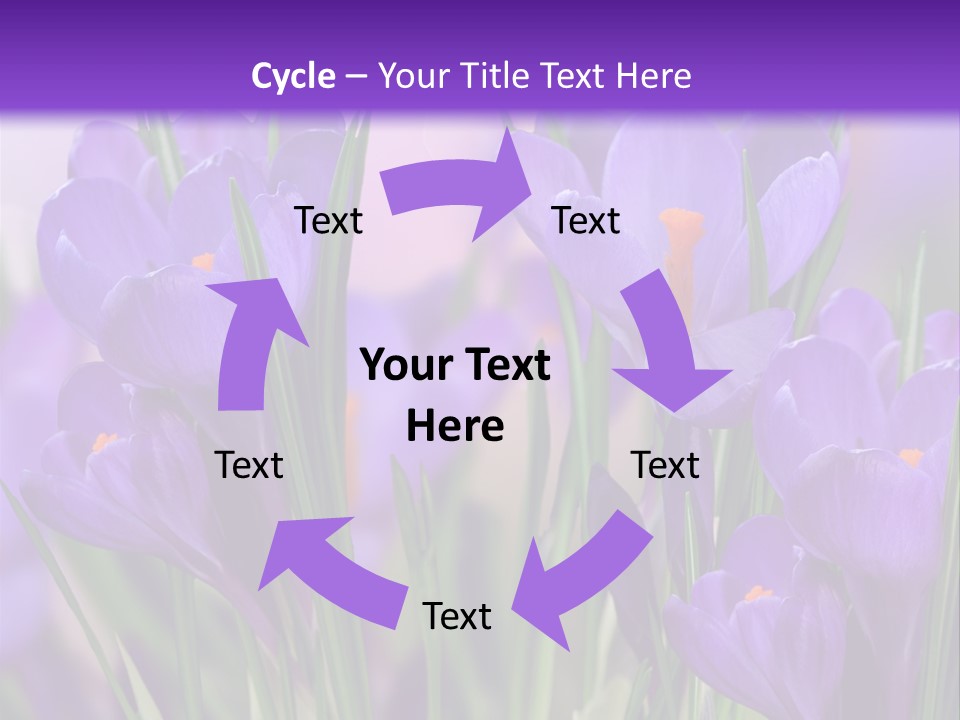 Nature White Bloom PowerPoint Template