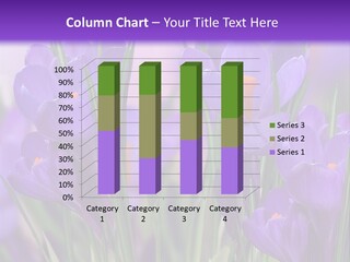 Nature White Bloom PowerPoint Template