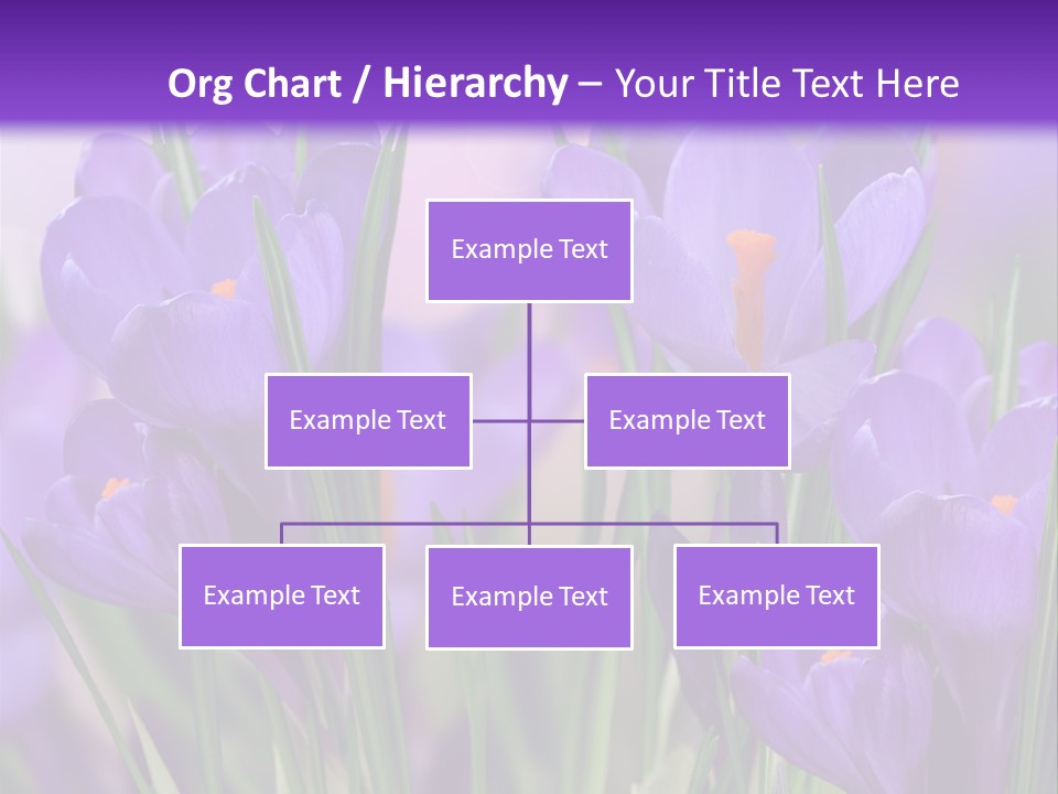 Nature White Bloom PowerPoint Template