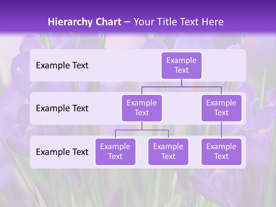 Nature White Bloom PowerPoint Template