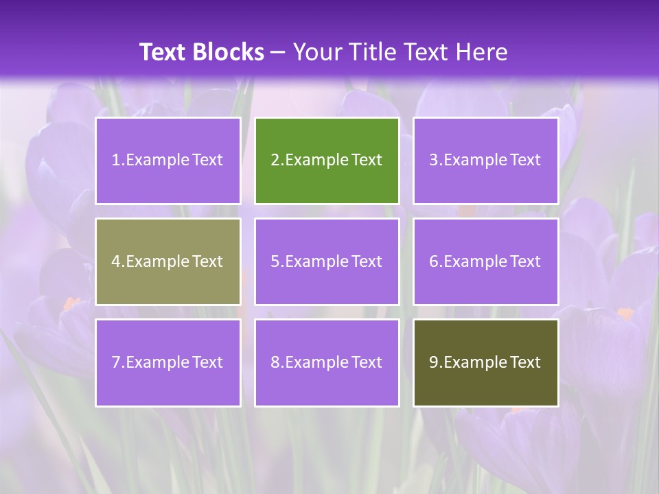 Nature White Bloom PowerPoint Template