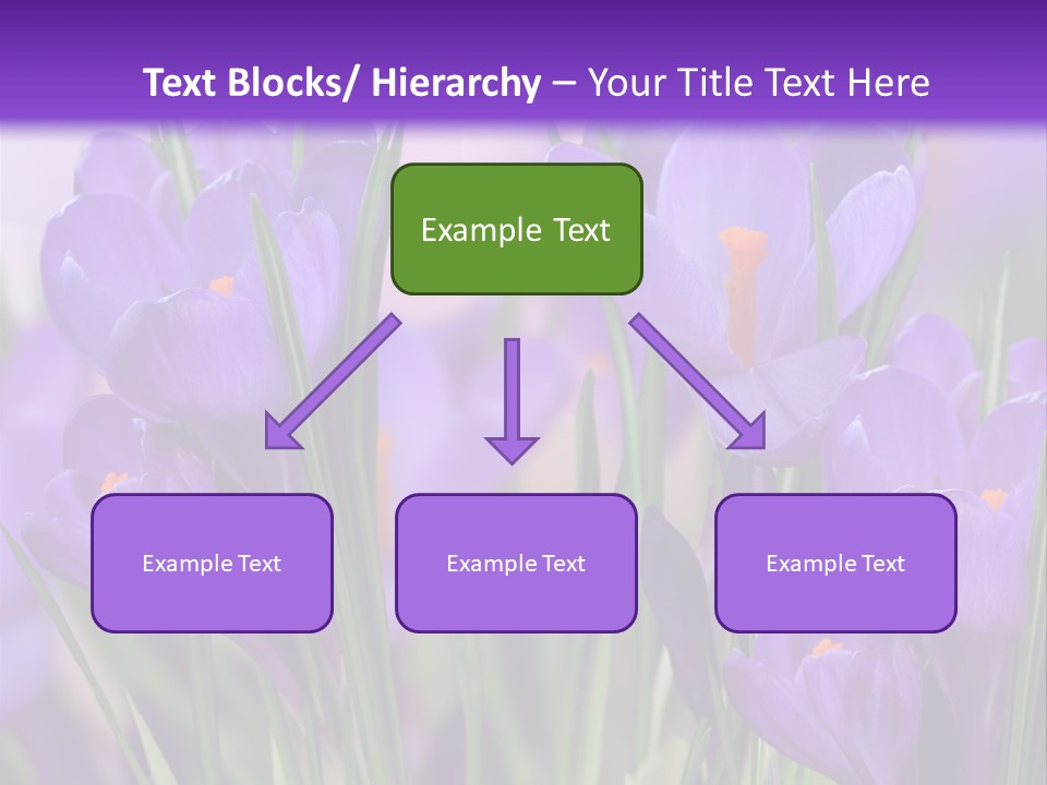 Nature White Bloom PowerPoint Template